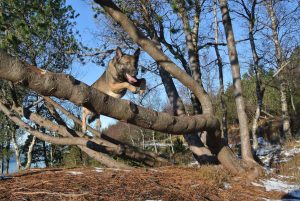 1617824 10152243764964467 1429517114 o