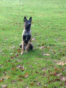 16194994 1008464682631402 1512573797147650207 n