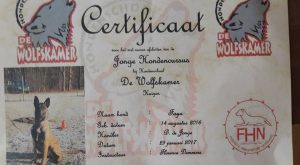 16195782 1008464685964735 2711254385526557878 n 1