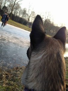 16195855 1003494513128419 26694140143717489 n