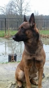 16196028 1363047013748030 7576510052879301675 n 1