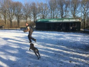 16251707 1231295730296051 6846369726050931785 o