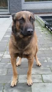 16265782 1363047043748027 3506860991395199770 n