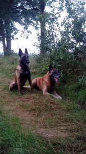 16425908 1342857122455288 3978868753509716455 n