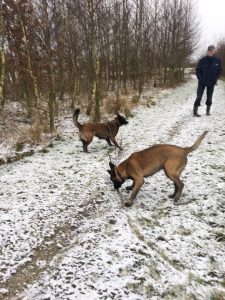 16473483 1442441182466840 3866383144313717036 n