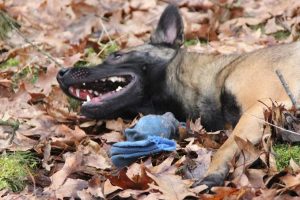 1653667 636800743033888 564920594 n