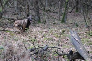 1655926 636800536367242 756722590 n