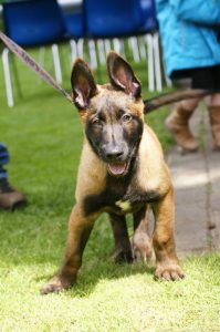 165859 249793481798617 2035567154 n