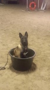 16640633 1451024824941809 2078714354823400884 n