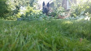 16684148 1518389251524547 976467375832417414 n