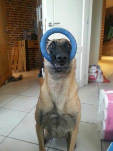 16708521 1518389201524552 913003292829638881 n