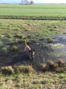 16711506 10211878280093635 4880106156533020887 n