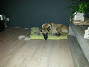 16711553 1518389084857897 854125773629343739 n