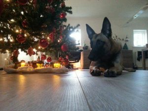 16729289 1518389278191211 8612170444884462020 n