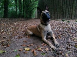 16730503 1518389158191223 8091943463955146216 n