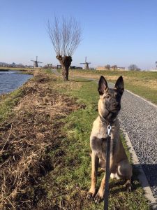 16730563 1917077695180868 741117793994590531 n