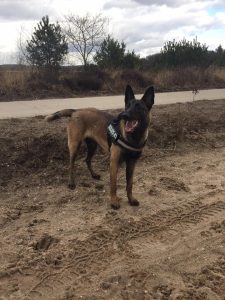 16865145 10211878280133636 2258042571806305763 n