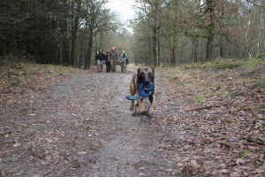 1688243 636800813033881 1324996470 n