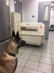 16996238 1927058514182786 2288307836664600992 n