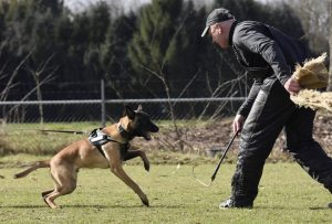 17103549 979976948798874 3577477325769611726 n 1