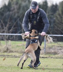 17155384 981660351963867 259999632668138852 n