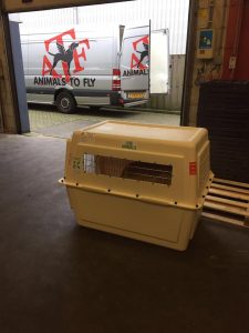 17155579 1927058470849457 7275977949036156782 n