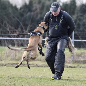 17156013 981660335297202 8466327054289048713 n