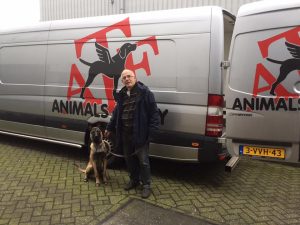 17156249 1927058460849458 2848389276051584916 n