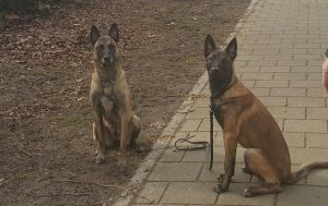 17159244 285453771888863 1665810897599708846 o 1