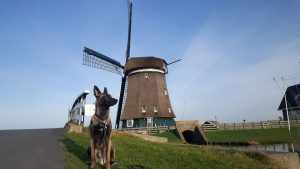 17159289 286563905111183 7534636008044046170 o