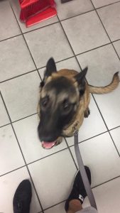 17190426 1927058564182781 2256348280948409026 n