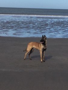 17190502 1927058454182792 8331718400168396973 n