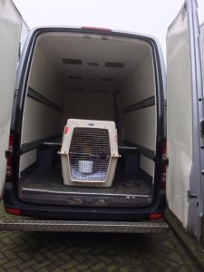 17190838 1927058464182791 8127035298790659263 n