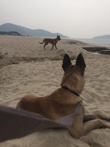 17190929 1927058570849447 4446992121889081229 n