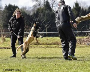 17190929 979951658801403 4661985649092228847 n