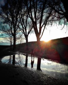 17192599 1273499426098314 7134960996280241621 o