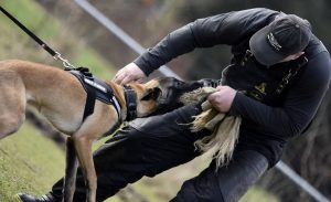 17192628 981660361963866 3636049672058428395 o