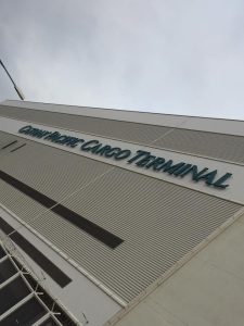 17201028 1927058517516119 7583165662659688930 n