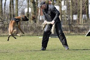 17203175 985997388196830 1023879424075696698 n