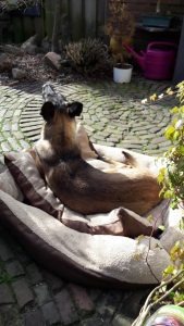 17240671 1037927123018491 7396842359467012190 o