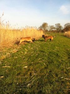 17264442 1476592879051670 1442190178027378545 n