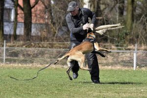 17264726 985997334863502 1879320089287061106 n