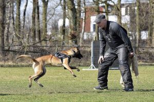 17264949 985997298196839 7306040439759116541 n