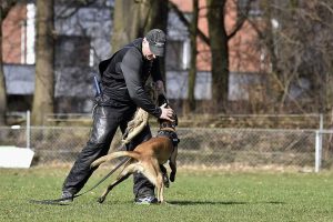 17309313 985997278196841 4764071650403238224 n 1