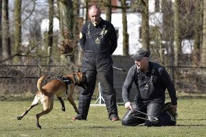 17309792 985997358196833 2711937798878625583 n