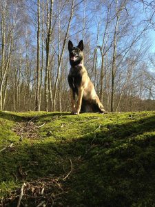 17352103 1041843009293569 2094439066783828022 n-1