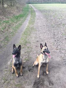 17499134 1422546077816045 7972339194864275091 n