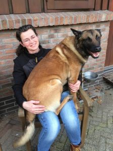 17505102 1864129700470886 4819502989219708011 o