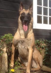 17799050 688505488003207 1636790324839215182 n (1)