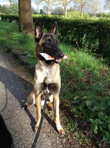 18076724 1014994145297154 1799804505543936882 o-1